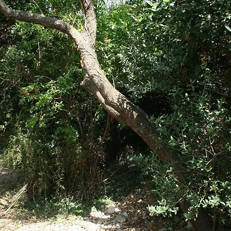 With A Parking Space Hvar - 4612